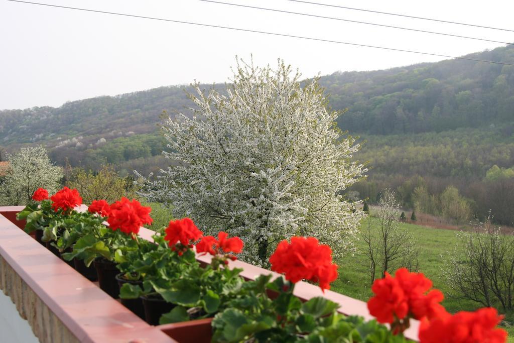 Pálos Resort Zalacsány Esterno foto