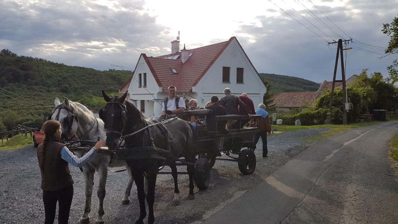 Pálos Resort Zalacsány Esterno foto